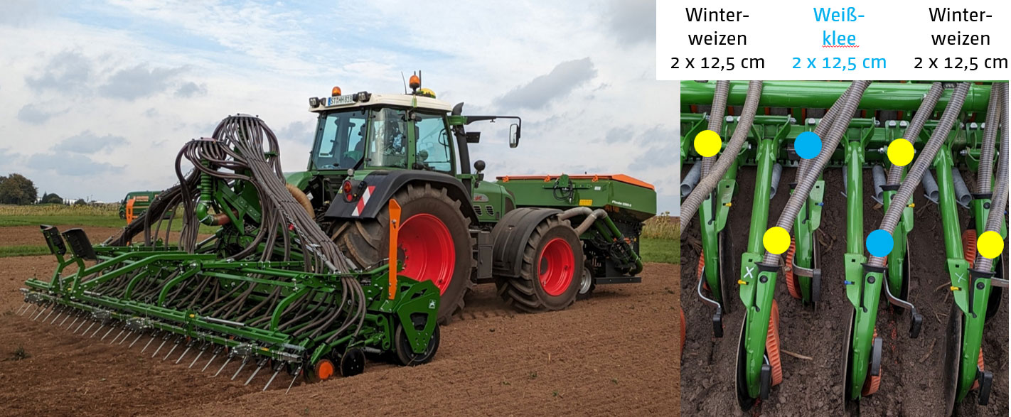 Parallele Aussaat von Winterweizen und Begleitpflanzen Parallele-Aussaat-von-Winterweizen-und-Begleitpflanzen