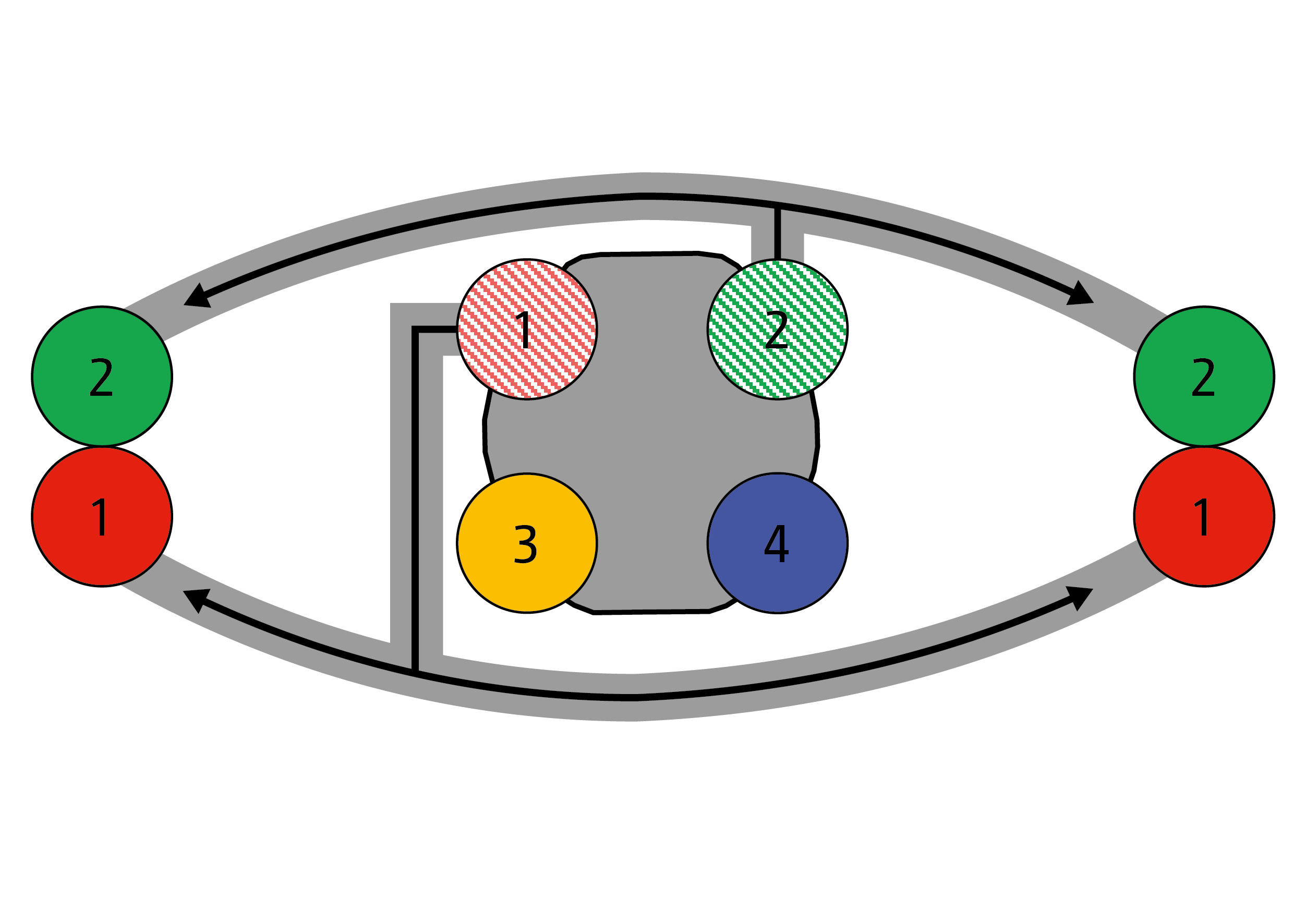 AmaSelect twin 2-2-2: flow in the direction of the arrow (© AMAZONE: AmaSelect_twin_2-2-2_ppt_GO.jpg) AmaSelect twin 2-2-2: Aufstieg in Pfeilrichtung