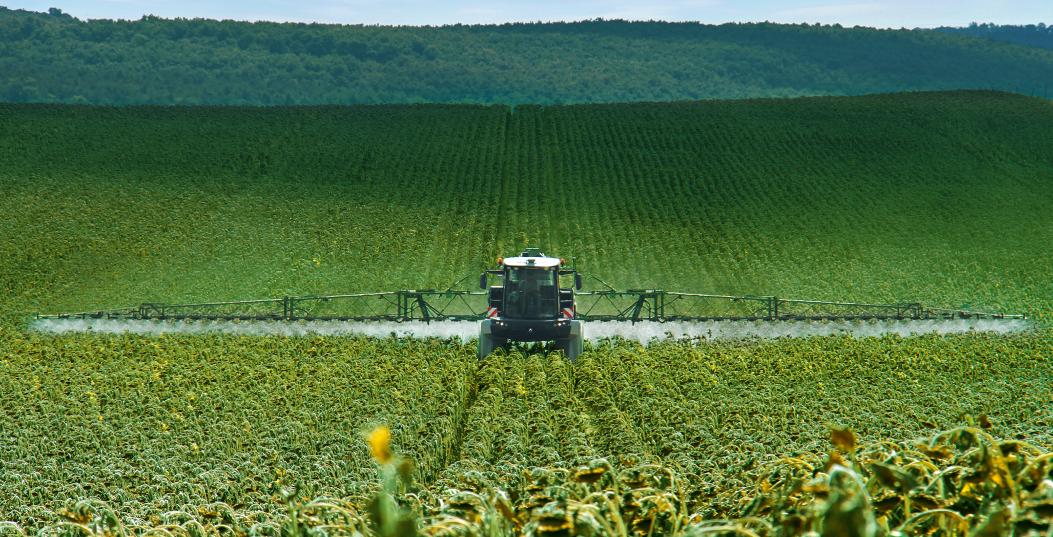 Pantera 4504-HW in action in a Hungarian sunflower crop Pantera4504-HW_Sunflower_dx_xy_IMG_3673_d1_211006